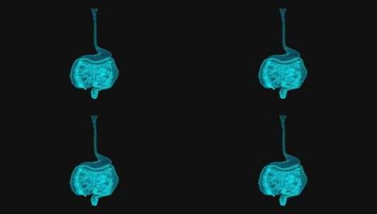 肠胃消化系统3D旋转科技粒子素材高清在线视频素材下载