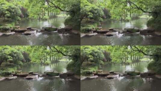雨天树林中的小溪流，雨滴落在水面上高清在线视频素材下载