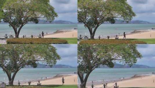 海边孤树唯美画面高清在线视频素材下载