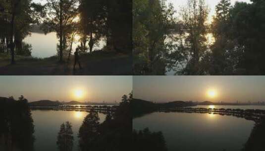 航拍武汉东湖绿道傍晚夕阳树木高清在线视频素材下载