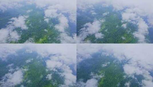 航拍云雾缭绕森林山林绿肺自然风光高清在线视频素材下载