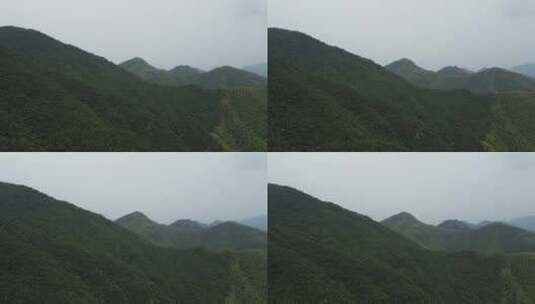 4K航拍浙江安吉山林风格高清在线视频素材下载
