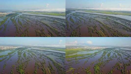 航拍夏季乌苏里江和湿地风光高清在线视频素材下载