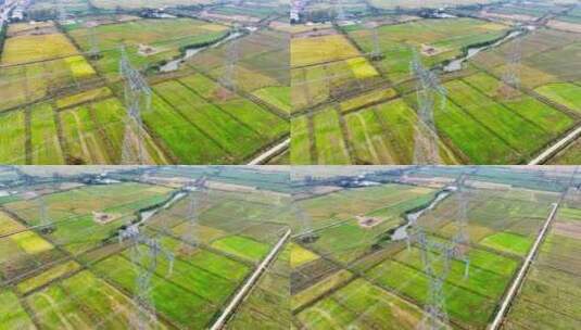 湖南岳阳农村田野上的高压电塔高清在线视频素材下载