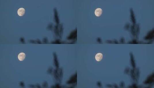 傍晚天黑前的月亮唯美凄美高清在线视频素材下载