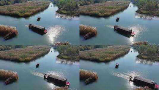 中国杭州西溪湿地秋日美景高清在线视频素材下载