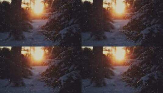 冬季森林下雪天阳光穿过树林雪花飘落高清在线视频素材下载