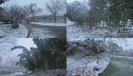 竹林雪海小桥河流高清在线视频素材下载