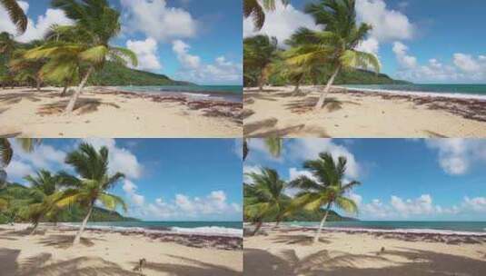 大海沙滩椰子树高清在线视频素材下载