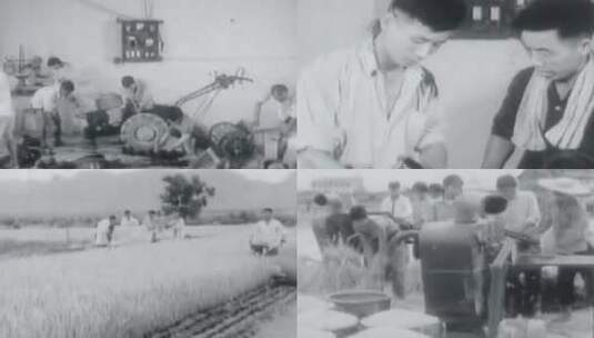 1972年农业机械化历史影像10高清在线视频素材下载