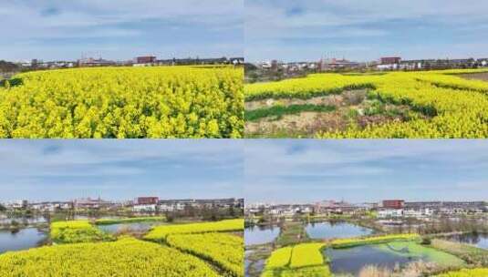 航拍平原乡镇农村田野油菜花风力发电机池塘高清在线视频素材下载