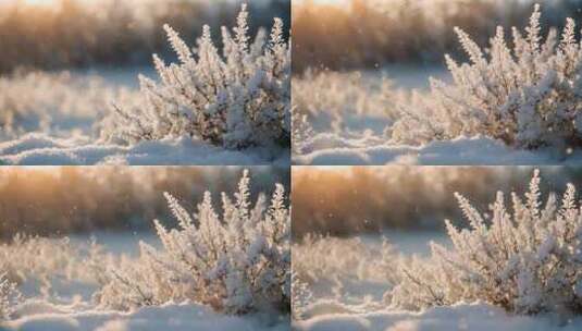 冬季背景V58高清在线视频素材下载