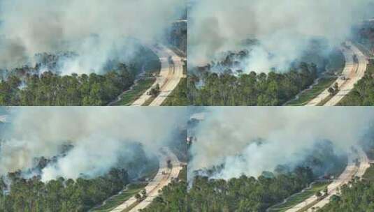 紧急服务消防车扑灭佛罗里达丛林森林消防局高清在线视频素材下载