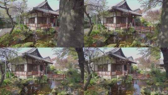 日本寺庙的美丽风景高清在线视频素材下载