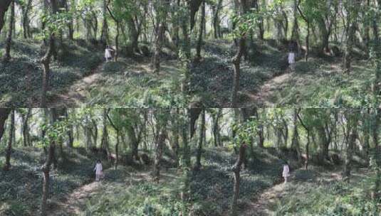 阳光森林探险的可爱时尚小女孩高清在线视频素材下载