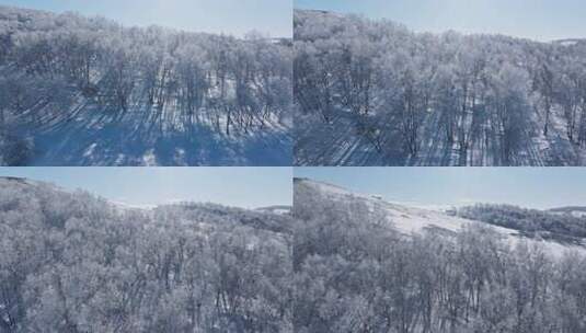 乌兰布统雾凇雪景雪林航拍高清在线视频素材下载