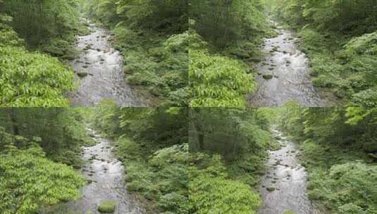 森林溪流-自然生态-山青水秀高清在线视频素材下载
