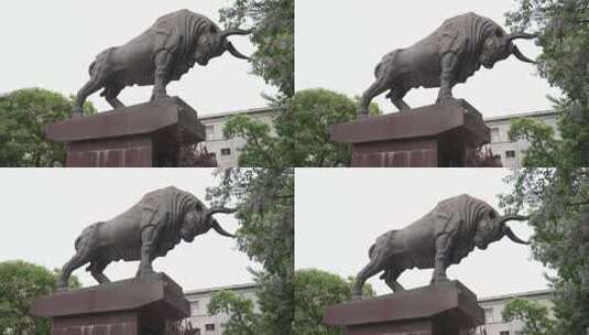 淄博公牛雕塑高清在线视频素材下载