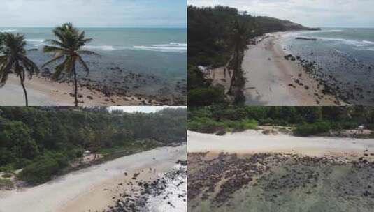 海滩棕榈树上的航拍拍摄高清在线视频素材下载