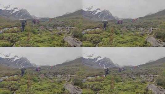 贡嘎山乡攀登乌库楚雪山的登山者徒步进山高清在线视频素材下载