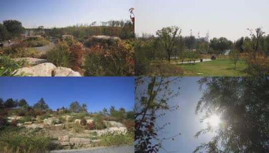 温榆河公园景高清在线视频素材下载