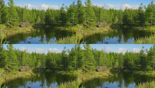 自然生态风景森林河流高清在线视频素材下载