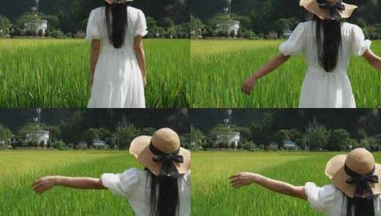 一位亚洲女性走在美丽的稻田里高清在线视频素材下载