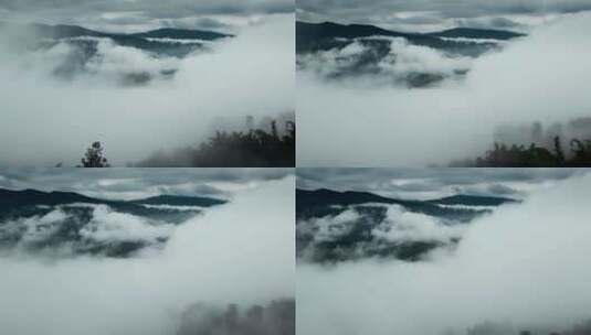 云南风光普洱茶山云海云雾气候变化远景高清在线视频素材下载