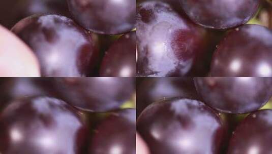 特写葡萄果粒颗粒高清在线视频素材下载