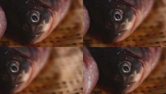 鱼鳃鱼眼睛鱼头特写高清在线视频素材下载