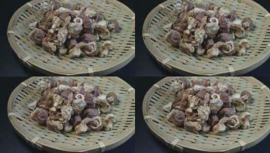 干松茸食用菌高清在线视频素材下载