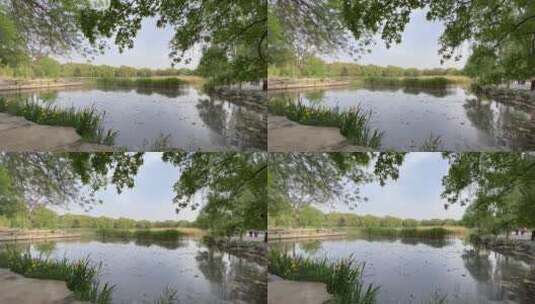 北京圆明园湖面碧波粼粼高清在线视频素材下载
