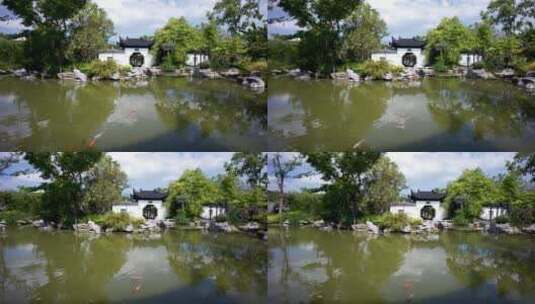 苏式古典园林 池塘里面有金鱼嬉戏高清在线视频素材下载
