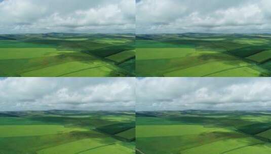 航拍呼伦贝尔垦区夏季绿色原野高清在线视频素材下载