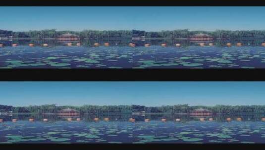 旅游景区小满时节北京公园里的荷花池塘高清在线视频素材下载