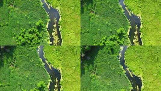 夏季波兰森林和小河Tuchola自然公园的俯视图高清在线视频素材下载