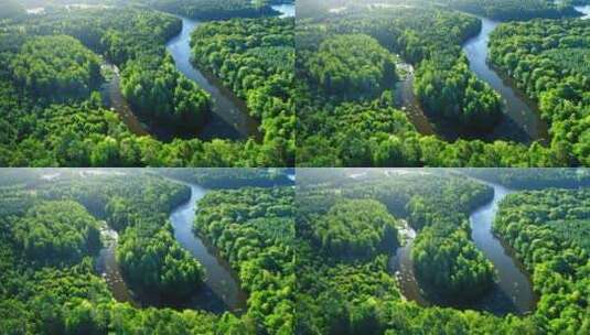 航拍蜿蜒的河流和森林高清在线视频素材下载
