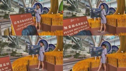 济南恒隆广场“你好啊大艺术家”展览高清在线视频素材下载