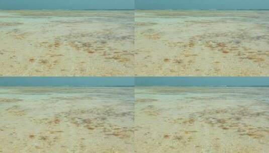 前景是浅海，背景是波涛汹涌的海浪。透过透明的水可以看到海草。高清在线视频素材下载