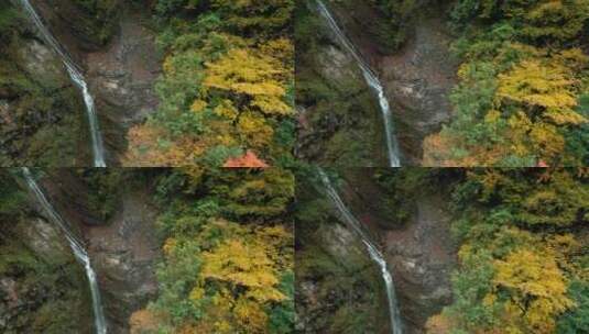 航拍秋季山林瀑布彩林高清在线视频素材下载