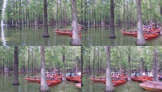 等待坐小舟的游客《水上森林》高清在线视频素材下载