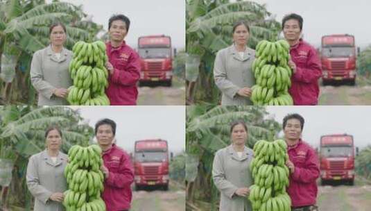 香蕉粉蕉种植基地5农民笑脸高清在线视频素材下载