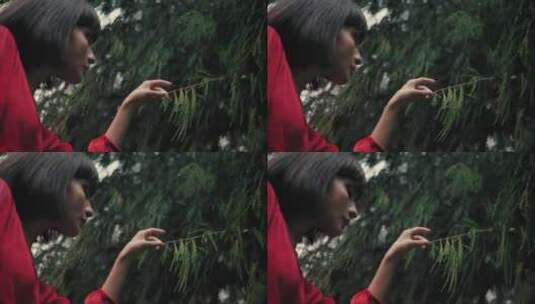 女孩在雨中轻轻抚摸松树的树枝高清在线视频素材下载