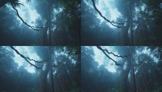 森林下雨唯美镜头高清在线视频素材下载
