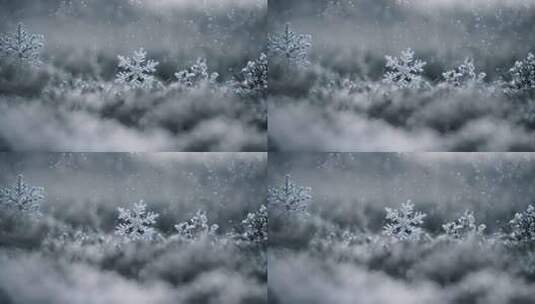 雪花特写雪景下雪天大雪纷飞白雪皑皑雪风景高清在线视频素材下载