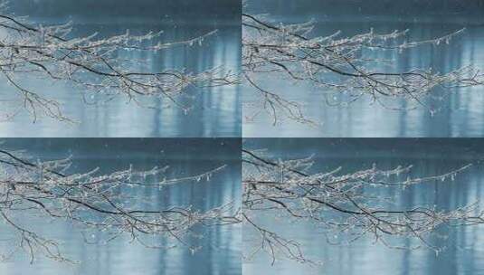 冬季湖面树枝风光背景高清在线视频素材下载
