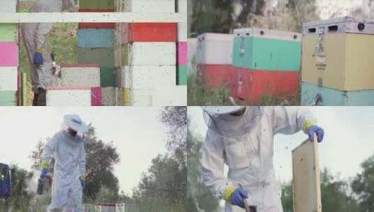 养蜂人收割蜂蜜高清在线视频素材下载
