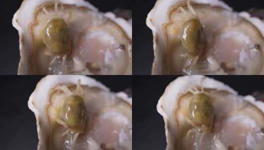 生蚝里的寄生小螃蟹豆蟹海洋生物高清在线视频素材下载