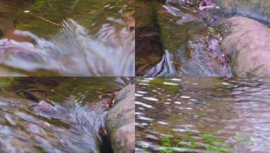 城市植物园公园小溪流水倒影特写风景大自然高清在线视频素材下载