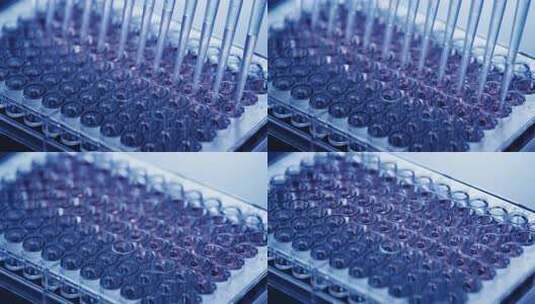 生物实验室培养皿实验特写高清在线视频素材下载